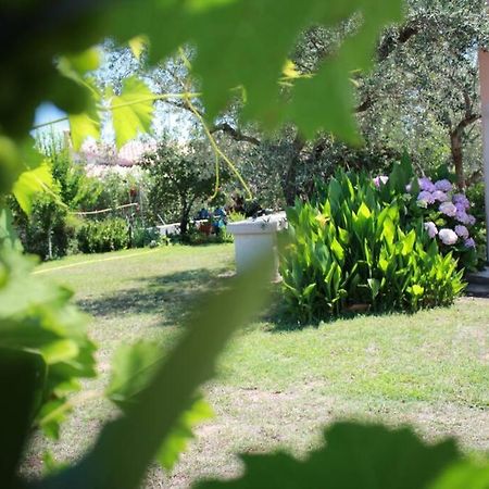Villa Di Campagna Vicino Al Mare Orosei Exteriör bild