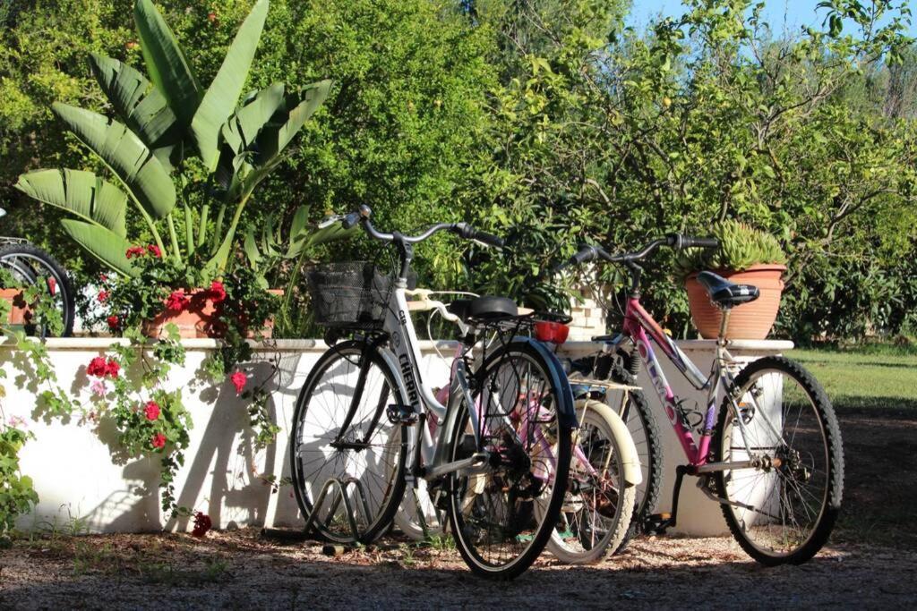 Villa Di Campagna Vicino Al Mare Orosei Exteriör bild