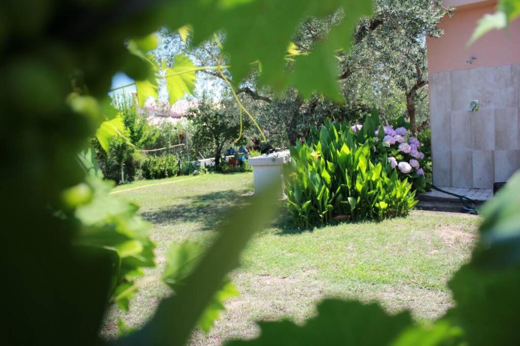 Villa Di Campagna Vicino Al Mare Orosei Exteriör bild