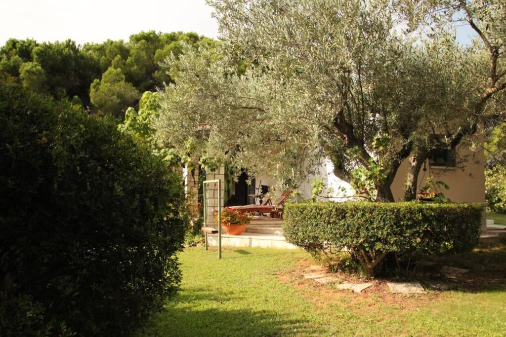 Villa Di Campagna Vicino Al Mare Orosei Exteriör bild